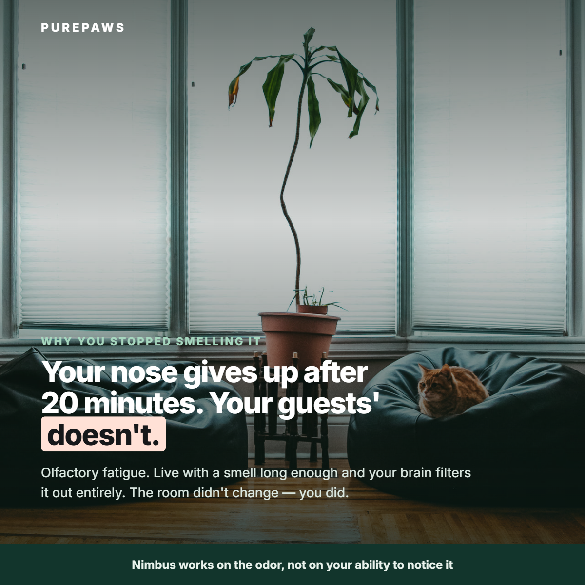 Your nose gives up after 20 minutes. Your guests' doesn't.
