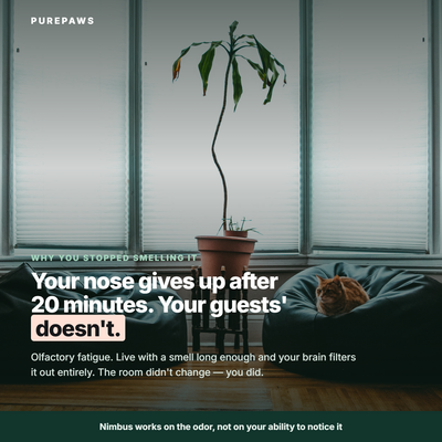 Your nose gives up after 20 minutes. Your guests' doesn't.