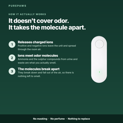 How Nimbus breaks odor molecules apart in three steps