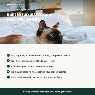 Built to run in the room your cat lives in